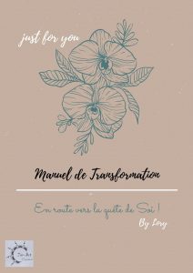 Manuel de Transformation