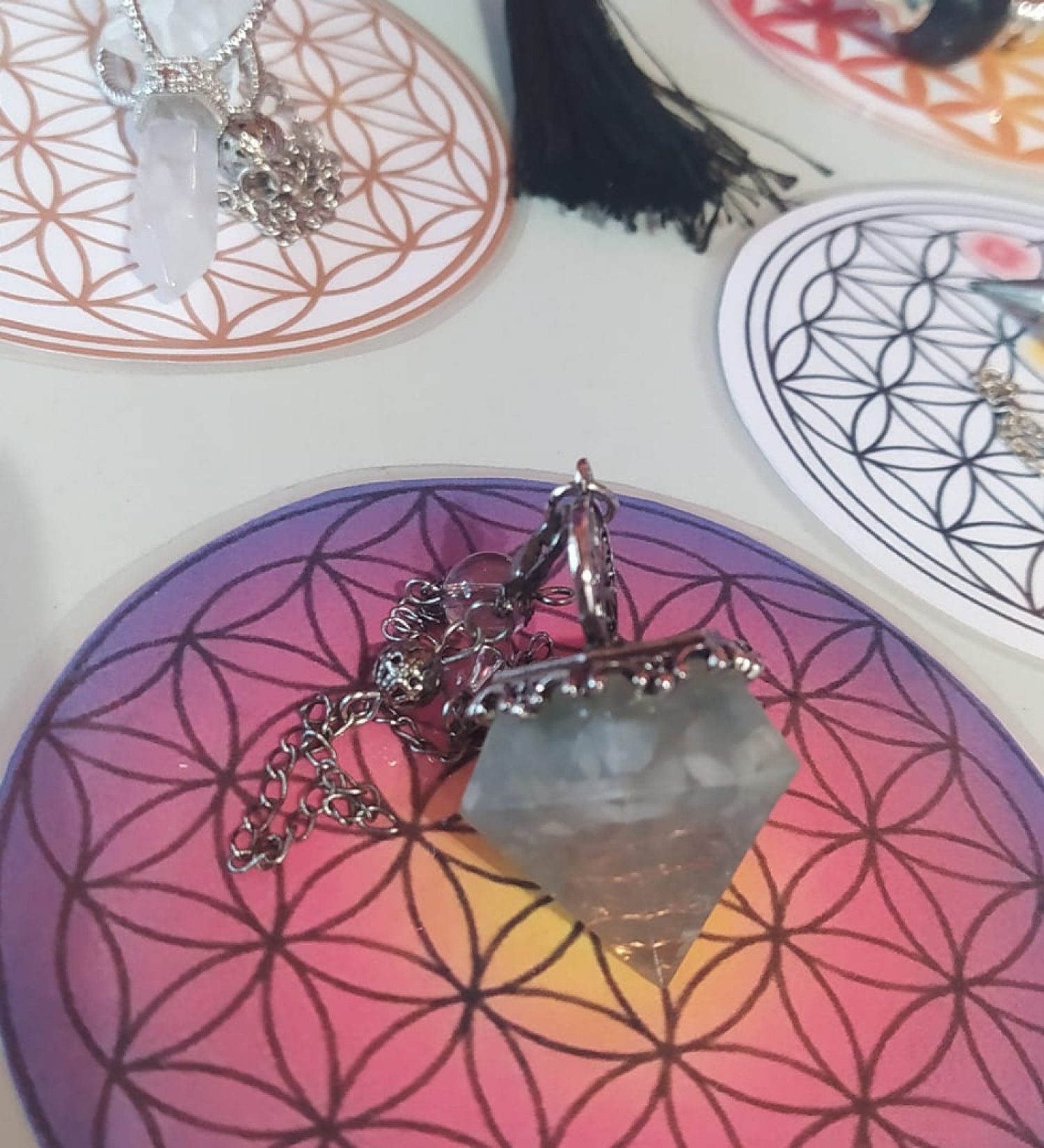 348257956_625997696107067_852649024555514734_n