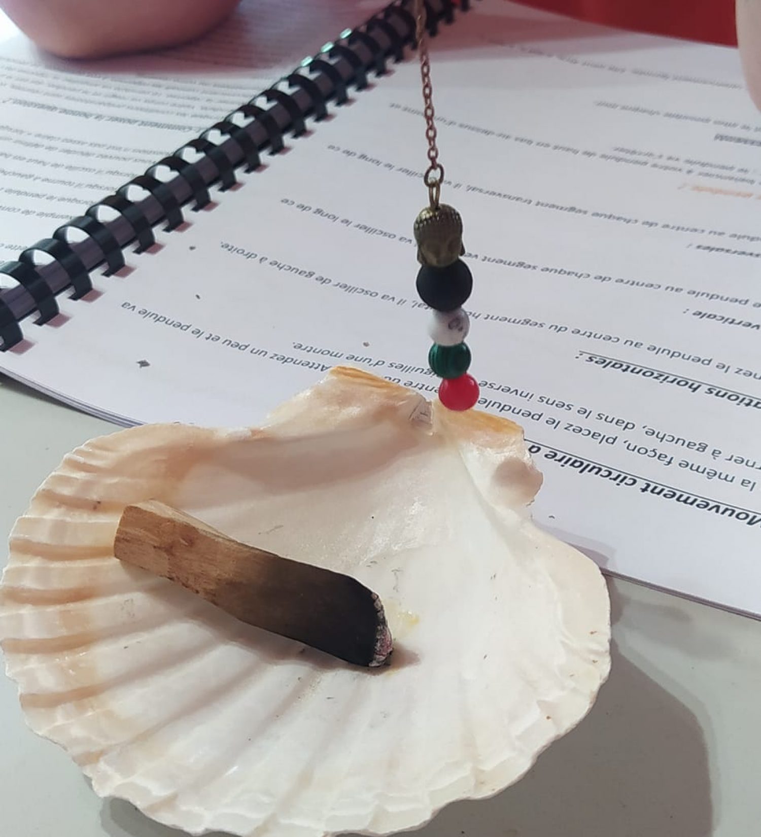 352388867_738038778322422_201689920997381809_n